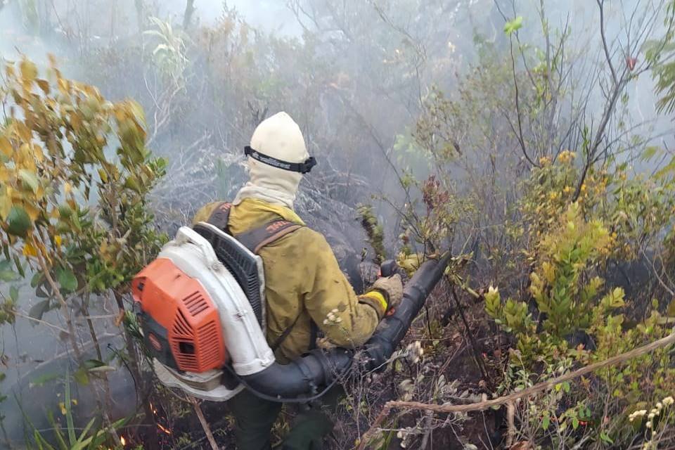 brigadistas voluntários se arriscam e viram noites combatendo o fogo na chapada dos veadeiros