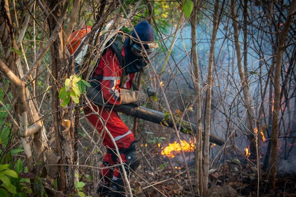 brigadistas voluntários se arriscam e viram noites no combate ao fogo na chapada dos veadeiros