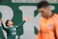 Raphael Veiga Palmeiras