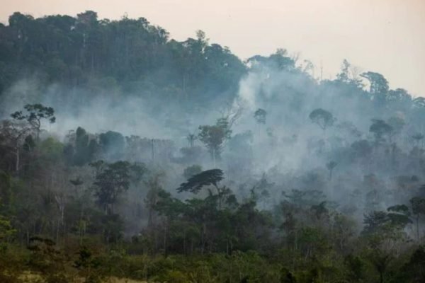 Meio ambiente não é prioridade para presidenciáveis nas redes sociais