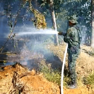 Incêndio no Parque Estadual do Juquery (SP)