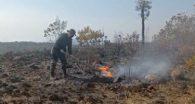 Brigadistas de SP tentam impedir "reignição" de incêndio ...