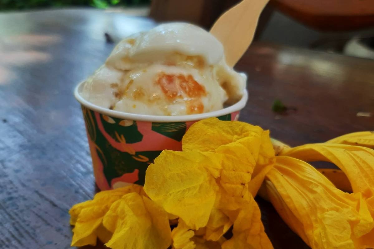 Na temporada do ipê amarelo, sorveteria Sorbê relança sorvete feito com a  flor | Metrópoles