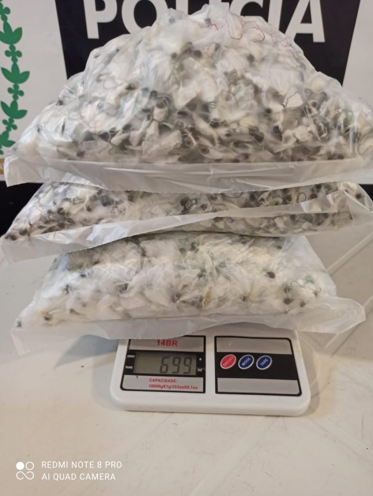 Drogas apreendidas em presídios do Rio