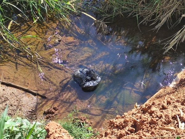 Idoso decapitado Senador Canedo GOias