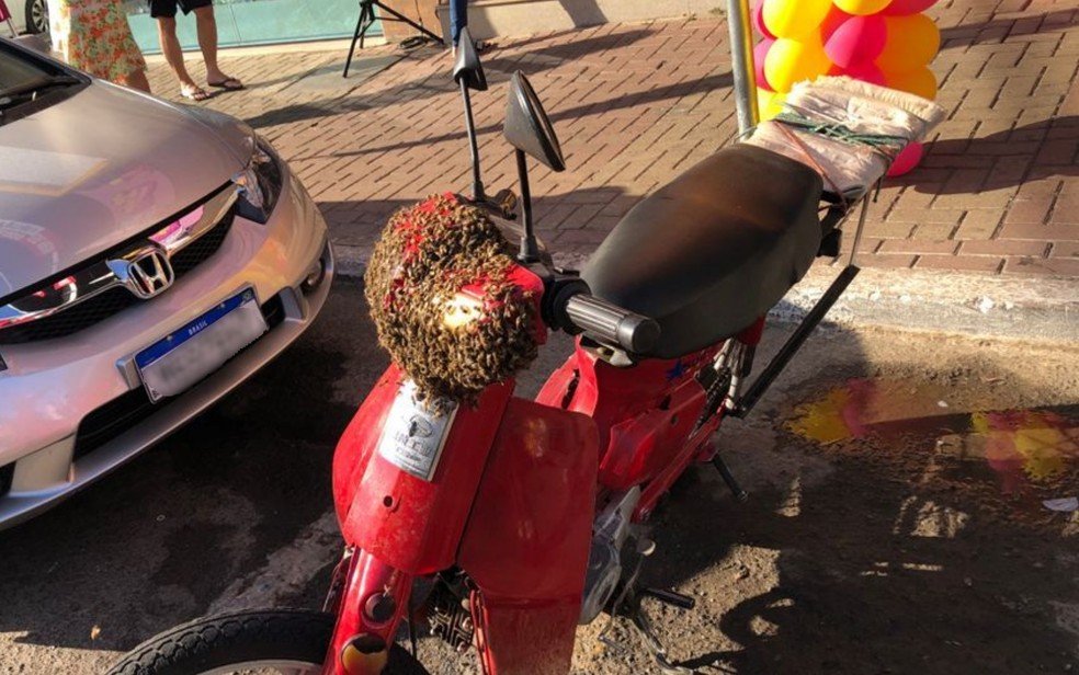Enxame de abelhas cobre moto em Caldas Novas