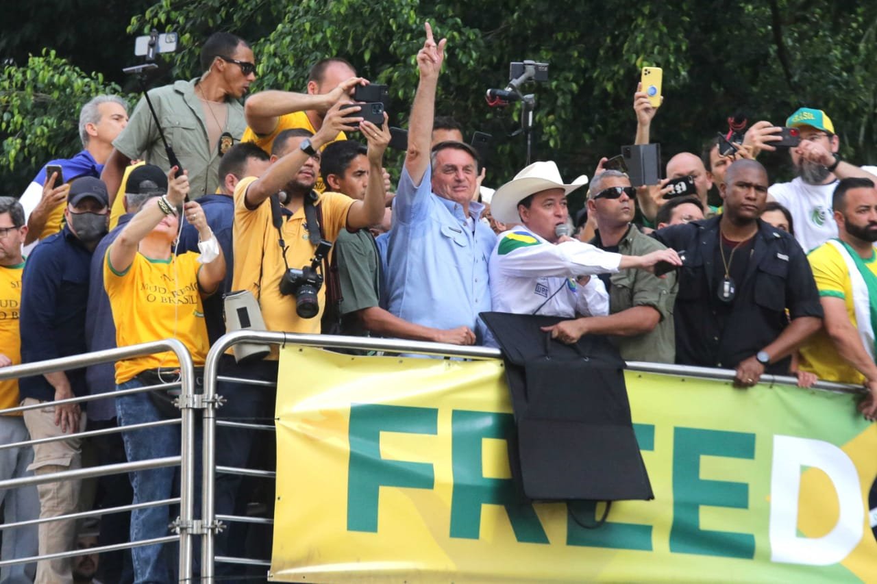 Bolsonaro contra o sistema/Xadrez 4D 