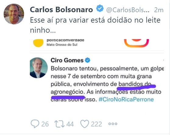 Carlos Bolsonaro provoca Ciro Gomes no Twitter Doid o no leite