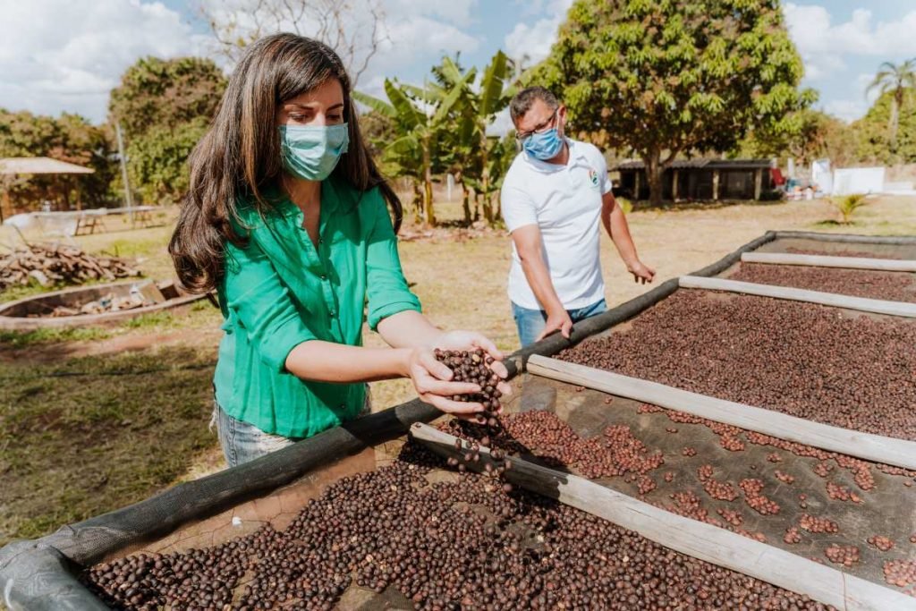 Saiba onde estão as melhores cafeterias com o Mapa Afetivo dos Cafés