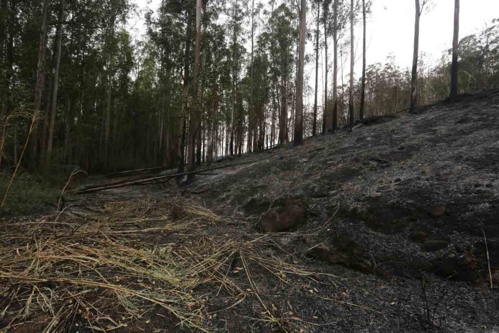 Sete pessoas morreram após um avião cair em Piracicaba (SP) na manhã desta terça-feira, 14. A aeronave caiu em uma área de mata no bairro Santa Rosa e, com a explosão, um incêndio teve início no local 4