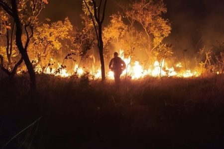 Incêndio na Chapada dos Veadeiros (GO)