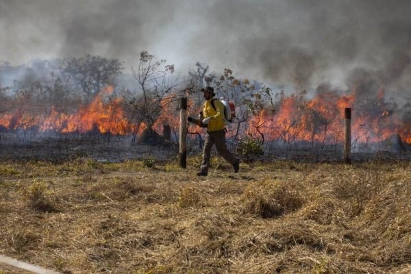 Combate a incêndio na Chapada dos Veadeiros