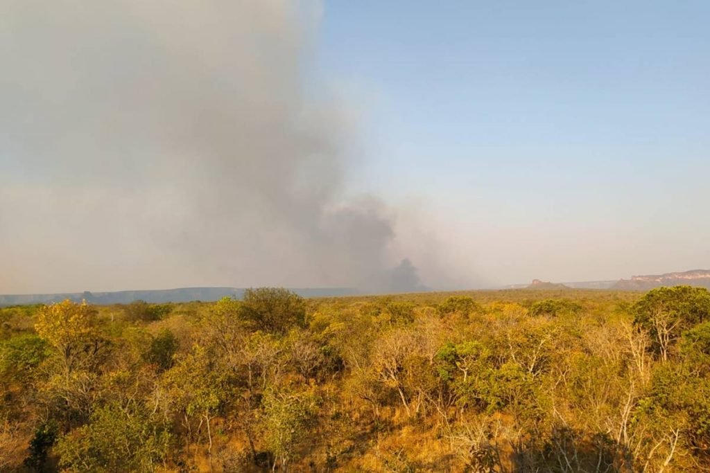 incêndio florestal atinge parque terra ronca, em goiás