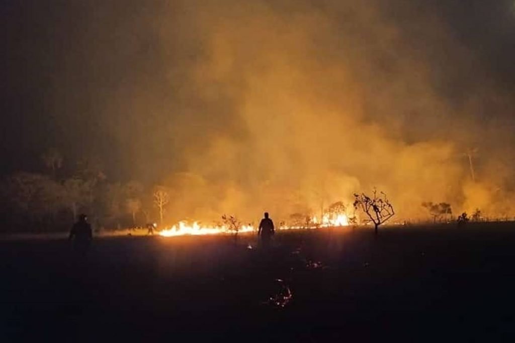 incêndio florestal atinge parque terra ronca, em goiás
