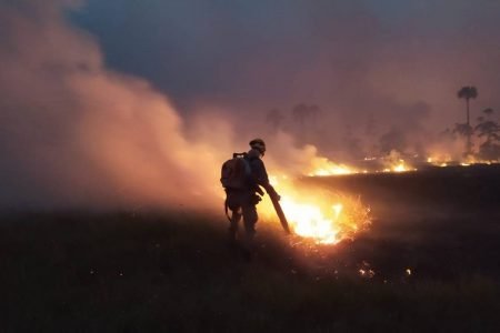 incêndio florestal atinge parque terra ronca, em goiás