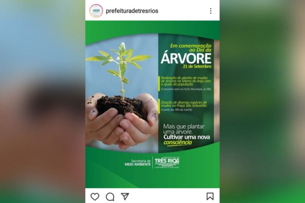 Planta confundida com pé de maconha gerou polêmica em Três Rios