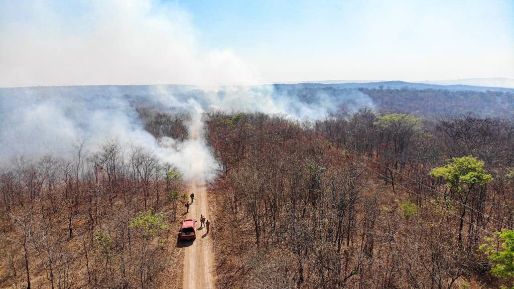 goias incendio terra ronca