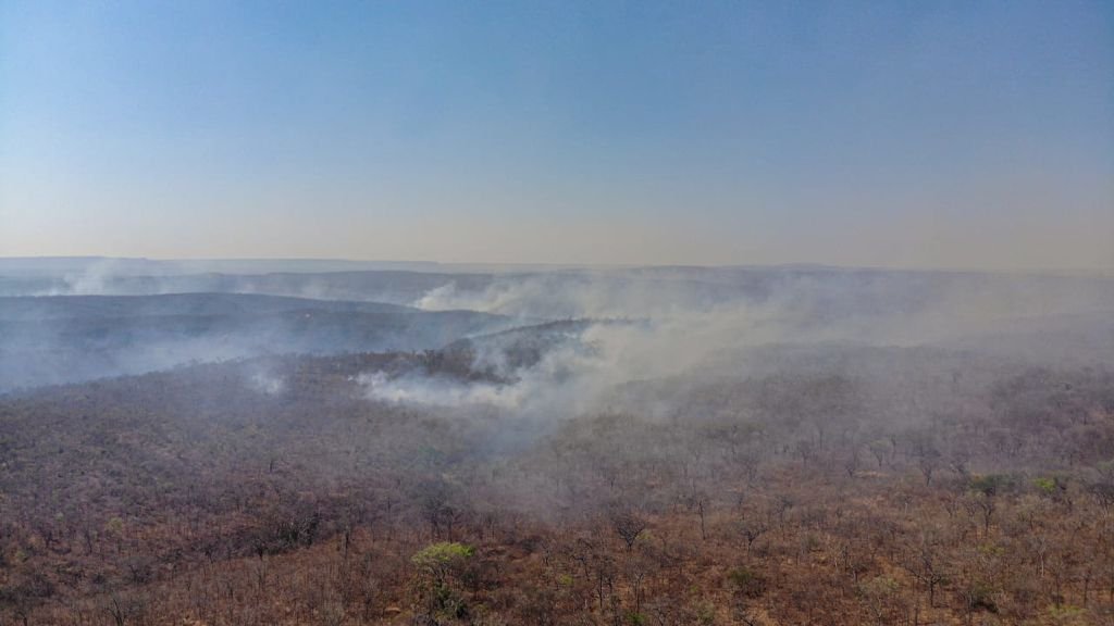 goias incendio terra ronca