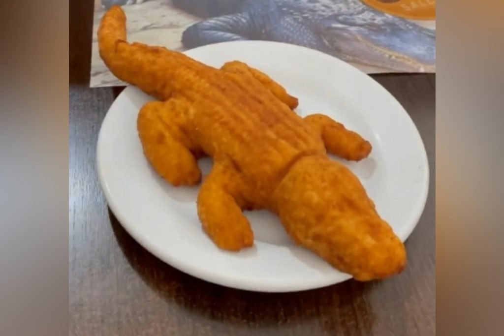 SC empreendedor lança coxinha em formato de 'Jacaré Fritz'