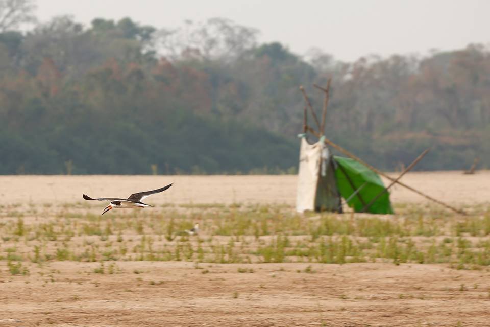 seca no rio araguaia