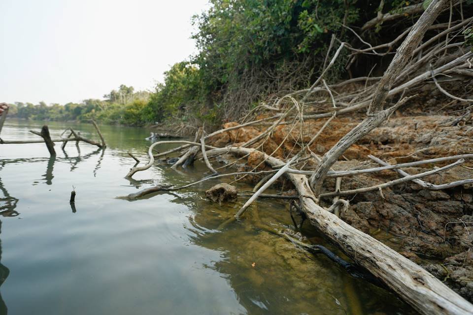 seca no rio araguaia