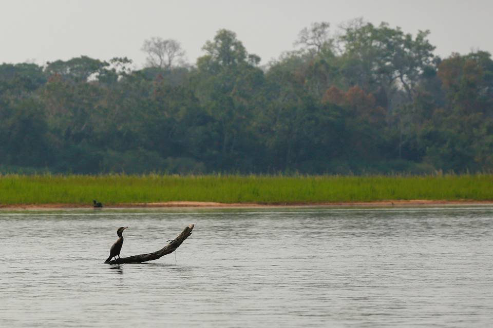 seca no rio araguaia