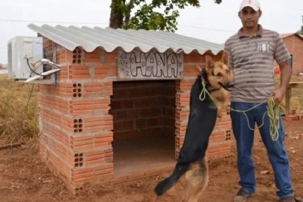 Homem com seu cachorro em frente ao canil com ar-condicionado