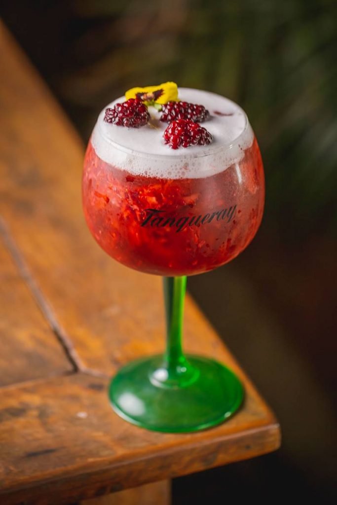 Gin Santé 13