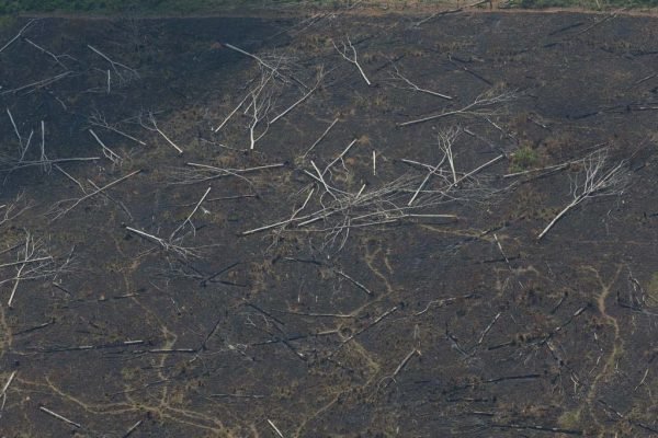 Em 10 anos, fazendeiros jogaram agrotóxicos sobre 30 mil