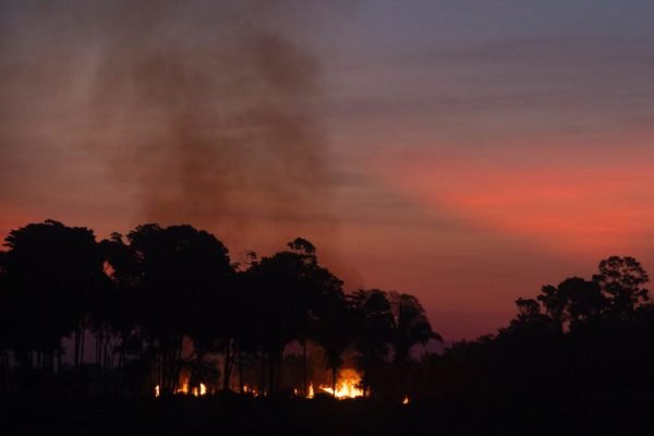 Fotografia colorida de sistema de combate de focos de incêndios na amazonia bombeiros sobrevoam áreas de queimadas próximo a Porto Velho em Rondonia