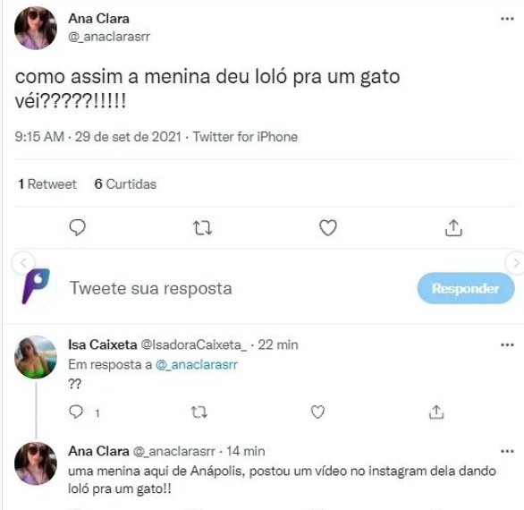 Polícia investiga se mulher aparece em vídeo dando loló a gatinho