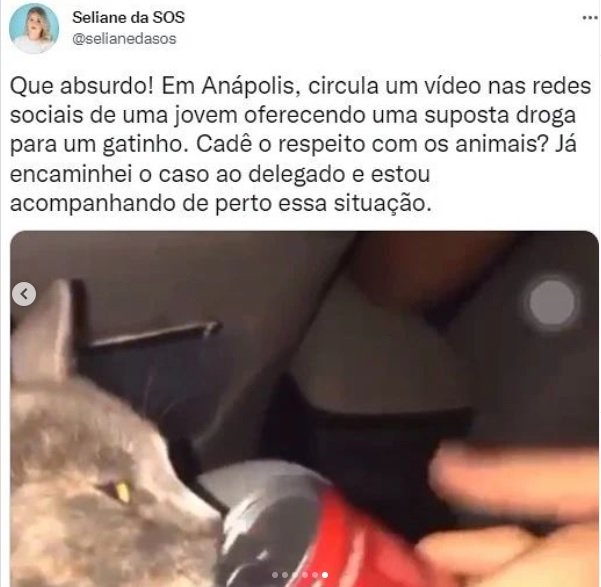 Polícia investiga se mulher aparece em vídeo dando loló a gatinho
