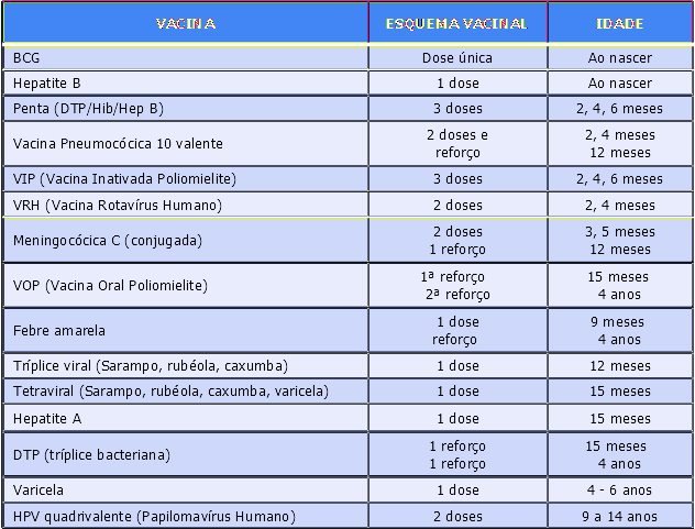 Calendário de vacinação da criança