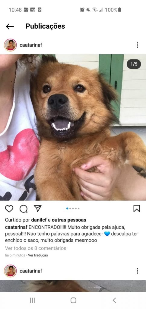Pet shop perde cachorro no DF