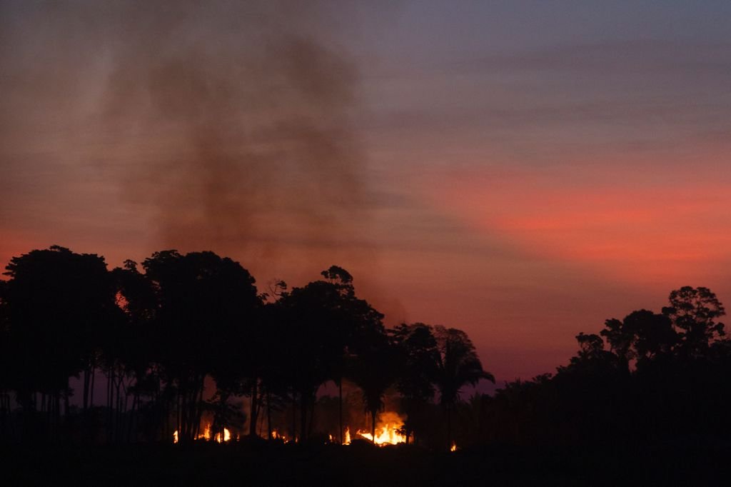 Incêndio na Amazônia