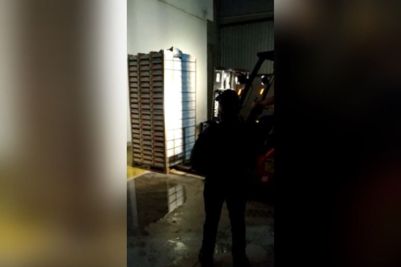 polícia apreende drogas embaladas em mangas