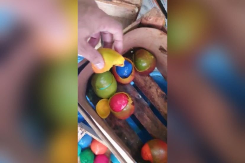 Cocaína escondida em mangas ia para a Europa