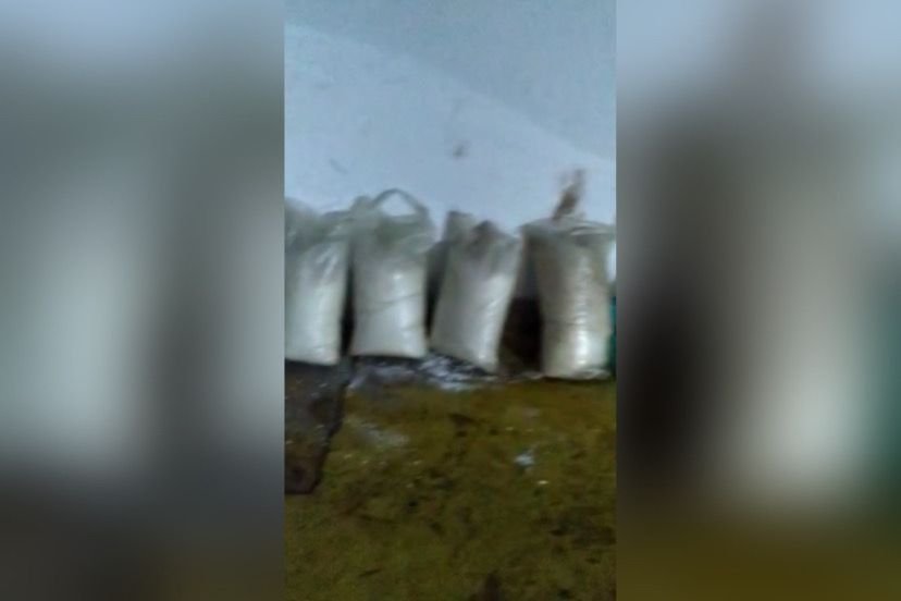 traficantes escondiam cocaína em manga para exportação