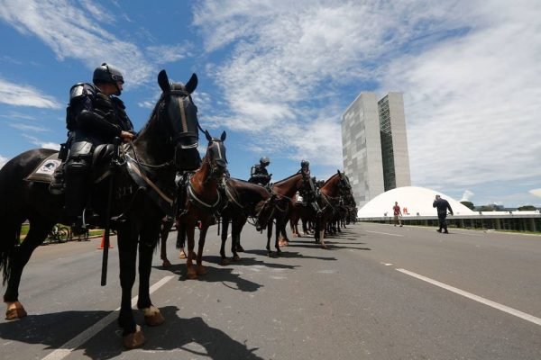 Conheça um pouco mais sobre a Cavalaria da Polícia Militar - SSP