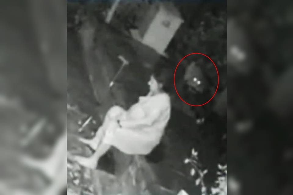 mulher é atacada por leopardo e se defende com bengala