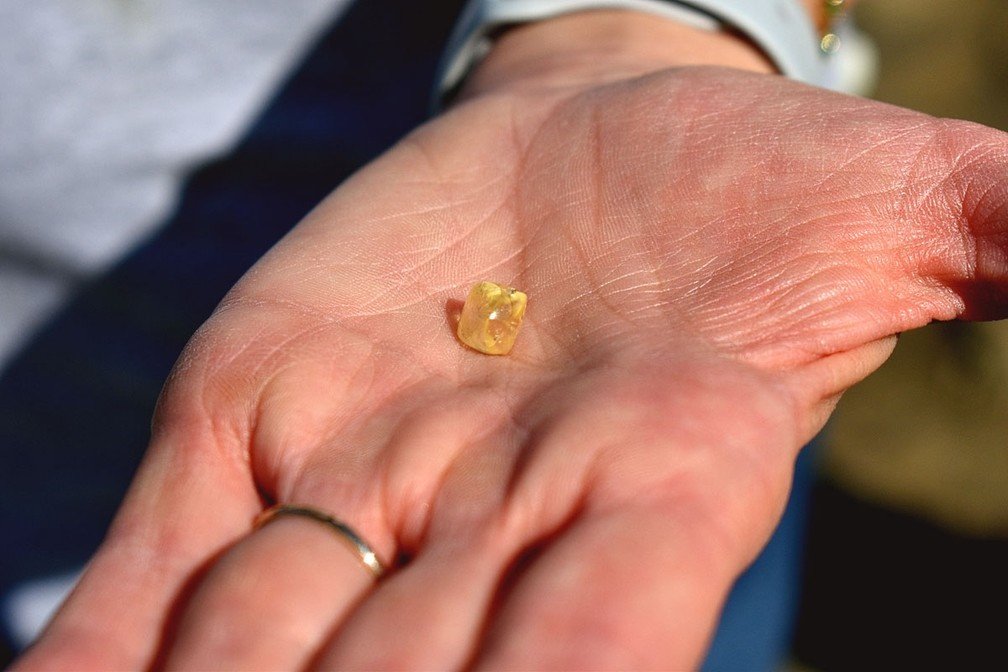 Aposentada encontra diamante de 4 quilates em parque dos EUA