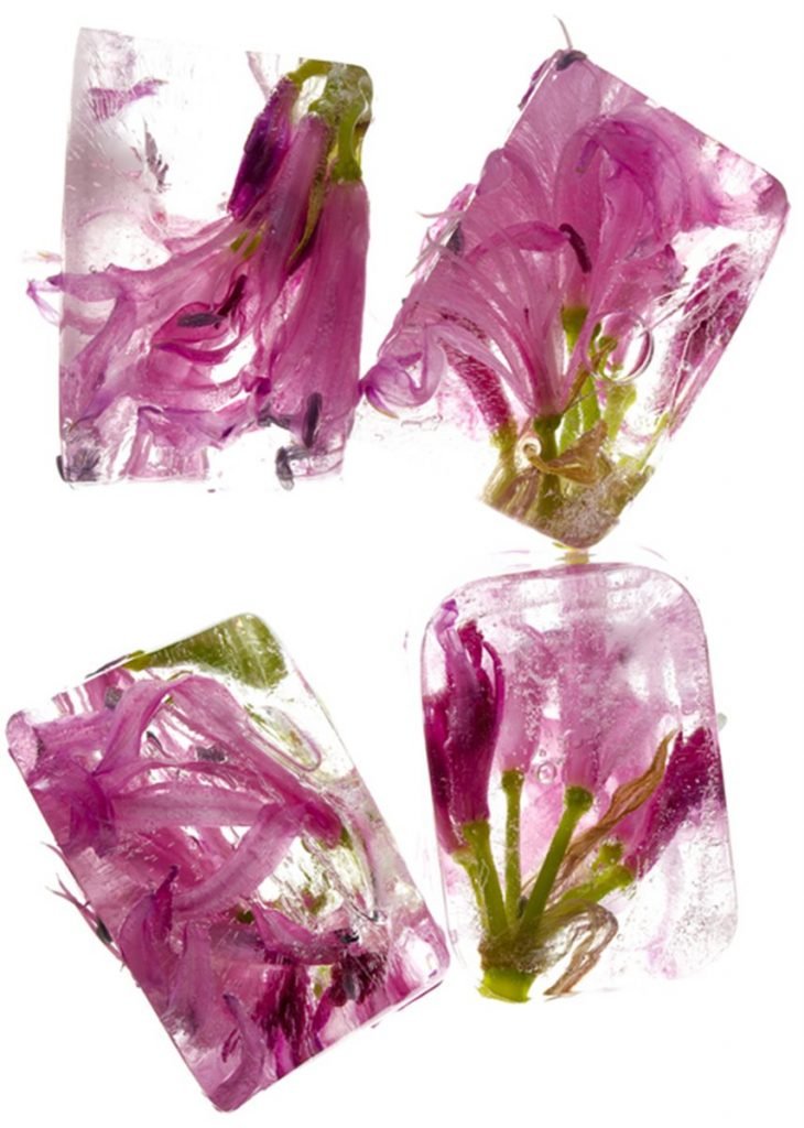 Gelo com flores