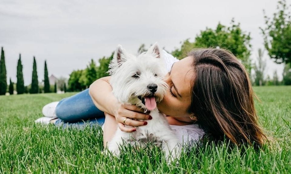 Cachorro e mulher em cima da grama