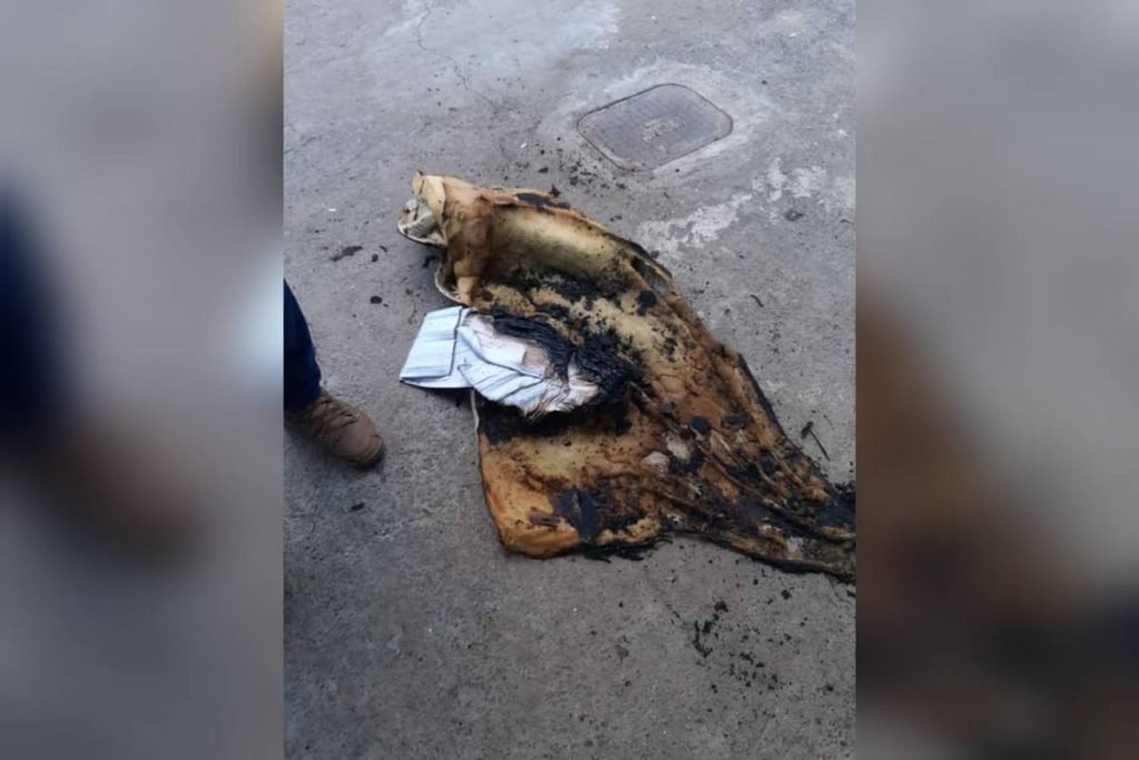 vizinhos arrombam casa incendiada para salvar bebês gêmeos deixados sozinhos pela mãe em goiânia