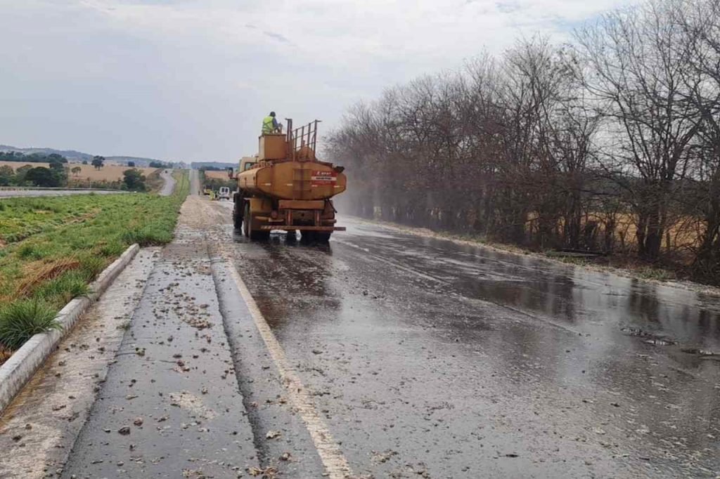 visceras rodovia goias