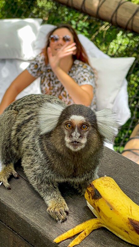 A Cabana da Bolha não permite hospedagem de peto, mas recebe visitas de animais silvestres