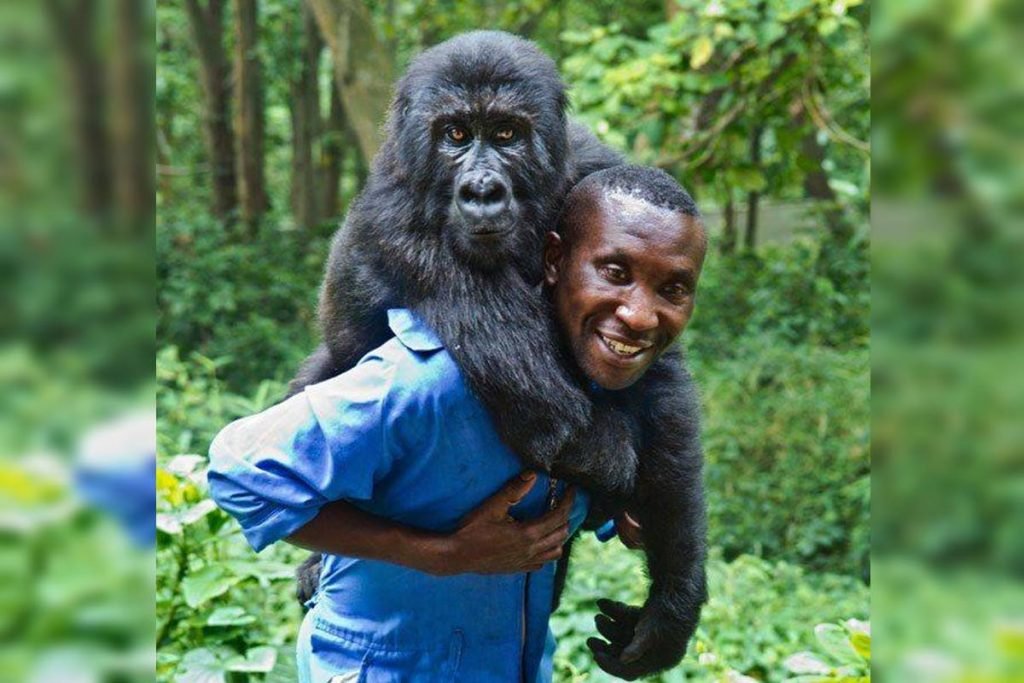 Andre Bauma e Ndakasi