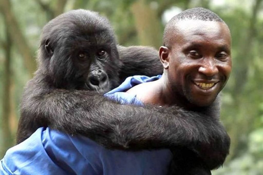 Andre Bauma e Ndakasi