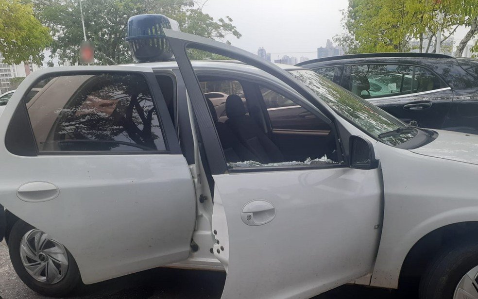 goias cadela presa em carro