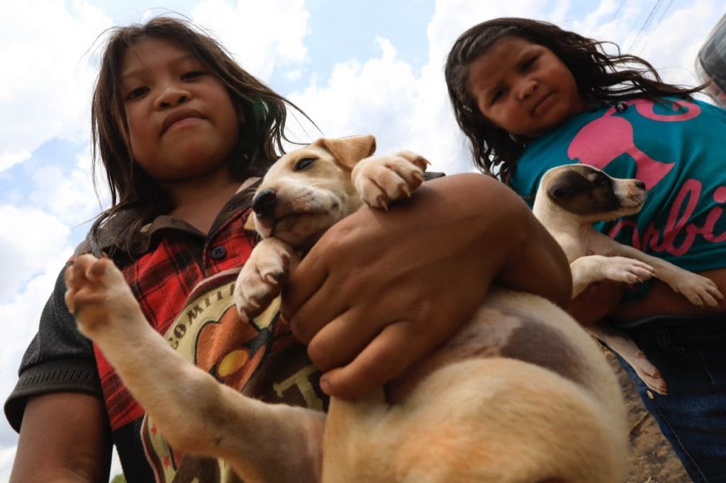 Povo Guajajara recebe atendimento veterinario em ação contra Covid-1938